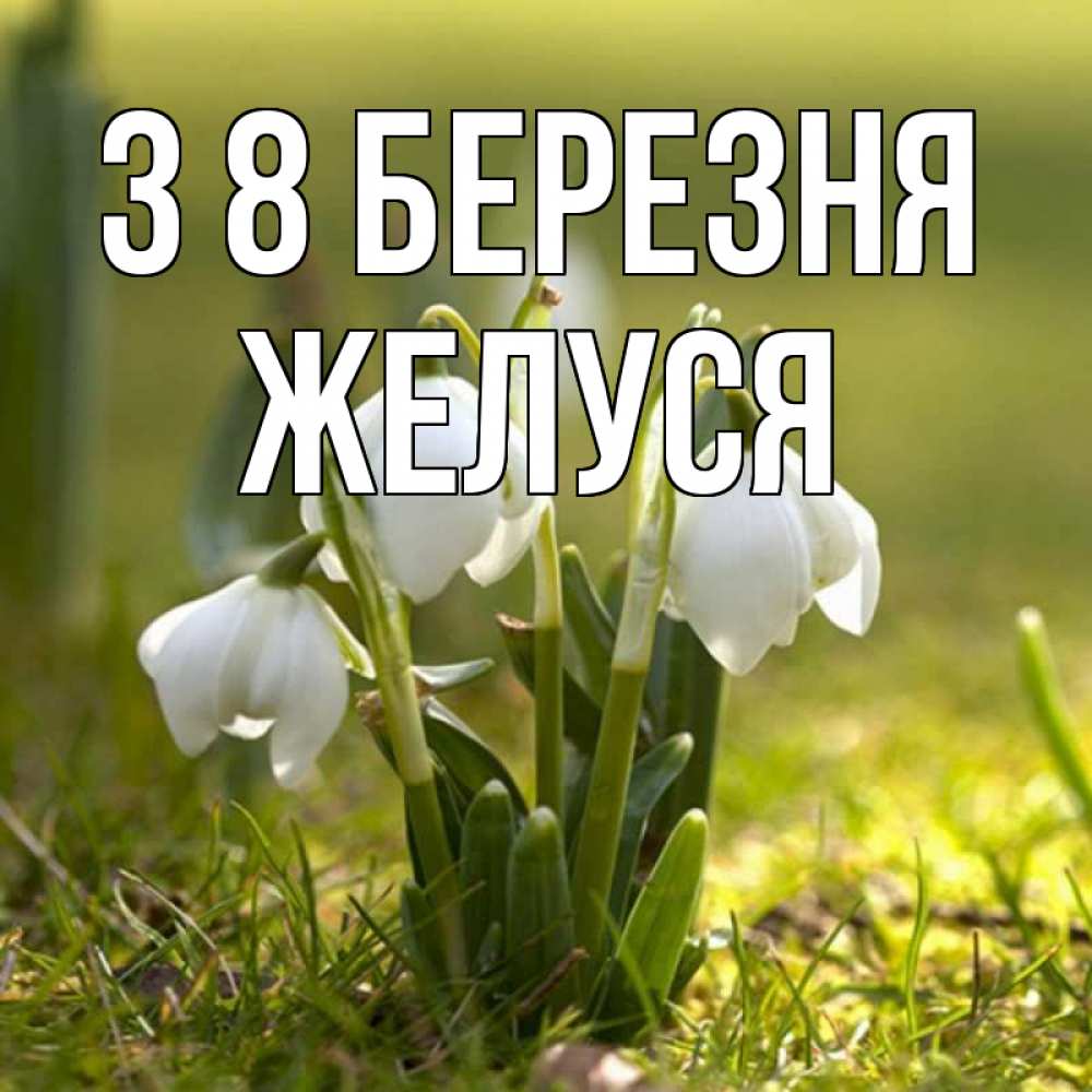 Открытка на каждый день з підписом, Желуся З 8 БЕРЕЗНЯ ранние цветы 2 Прикольна листівка з побажанням онлайн скачати безкоштовно 