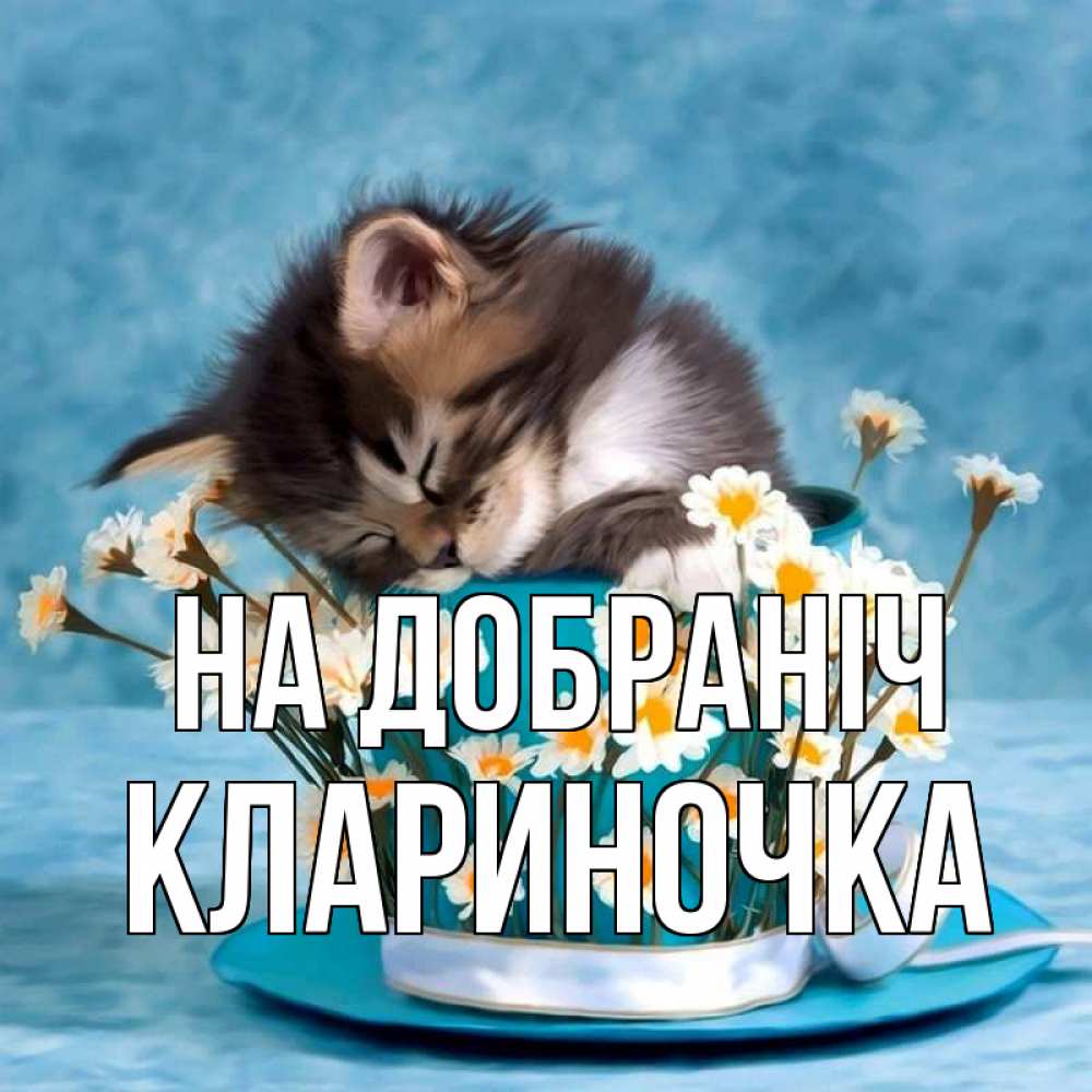 Открытка на каждый день з підписом, Клариночка На добраніч котенок спит в кружке с блюдцем Прикольна листівка з побажанням онлайн скачати безкоштовно 