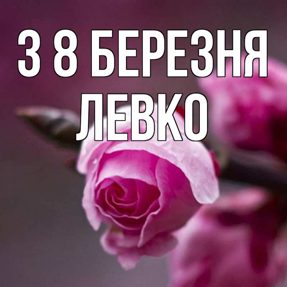 Открытка на каждый день з підписом, Левко З 8 БЕРЕЗНЯ весна Прикольна листівка з побажанням онлайн скачати безкоштовно 