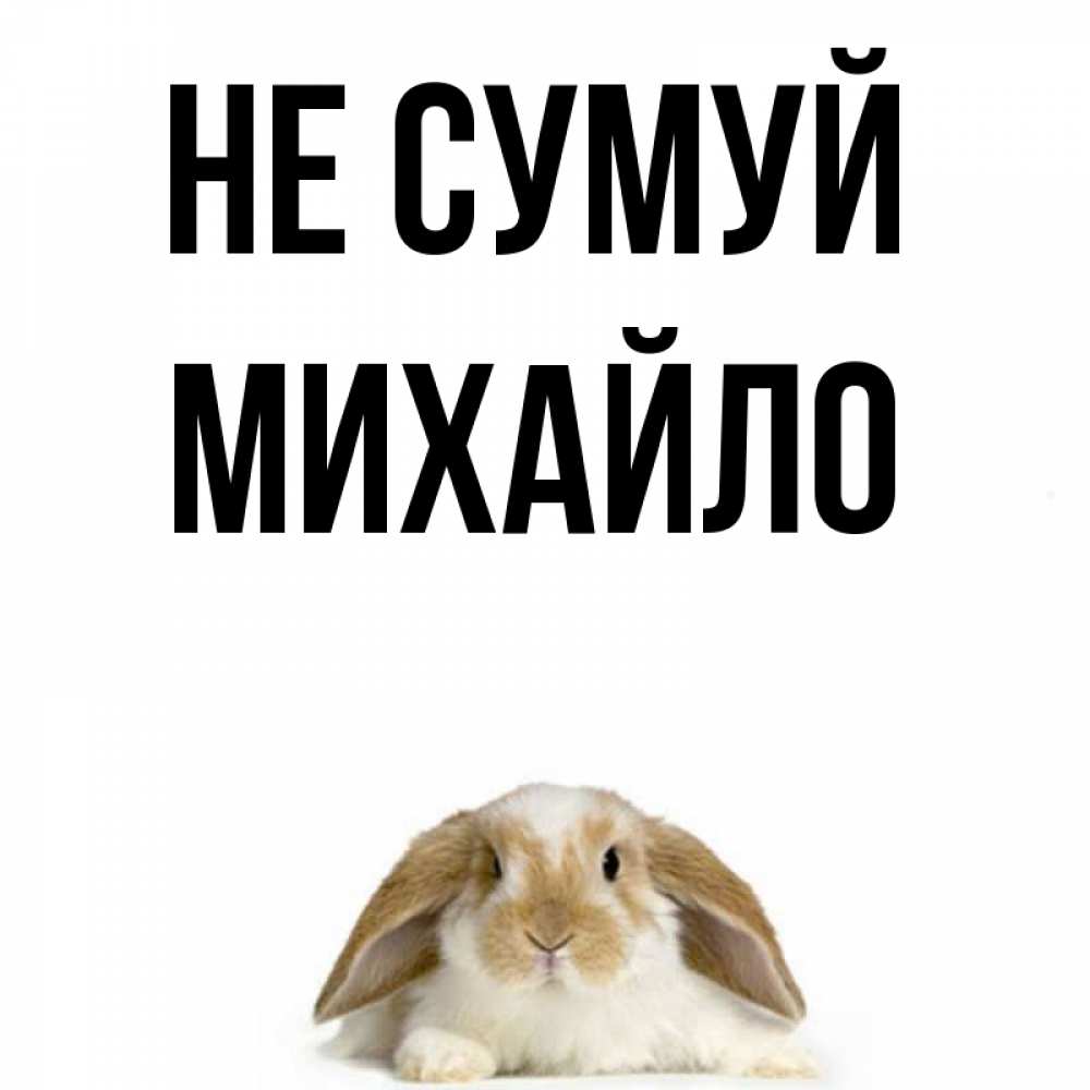 Открытка на каждый день з підписом, Михайло Не сумуй коричнево белый заяц с большими ушками Прикольна листівка з побажанням онлайн скачати безкоштовно 