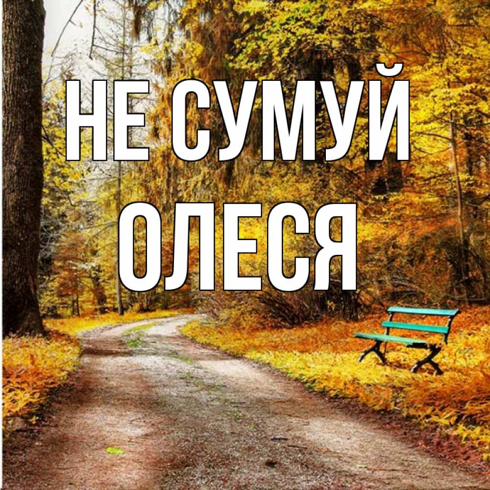 Открытка на каждый день з підписом, Олеся Не сумуй зеленая лавочка Прикольна листівка з побажанням онлайн скачати безкоштовно 