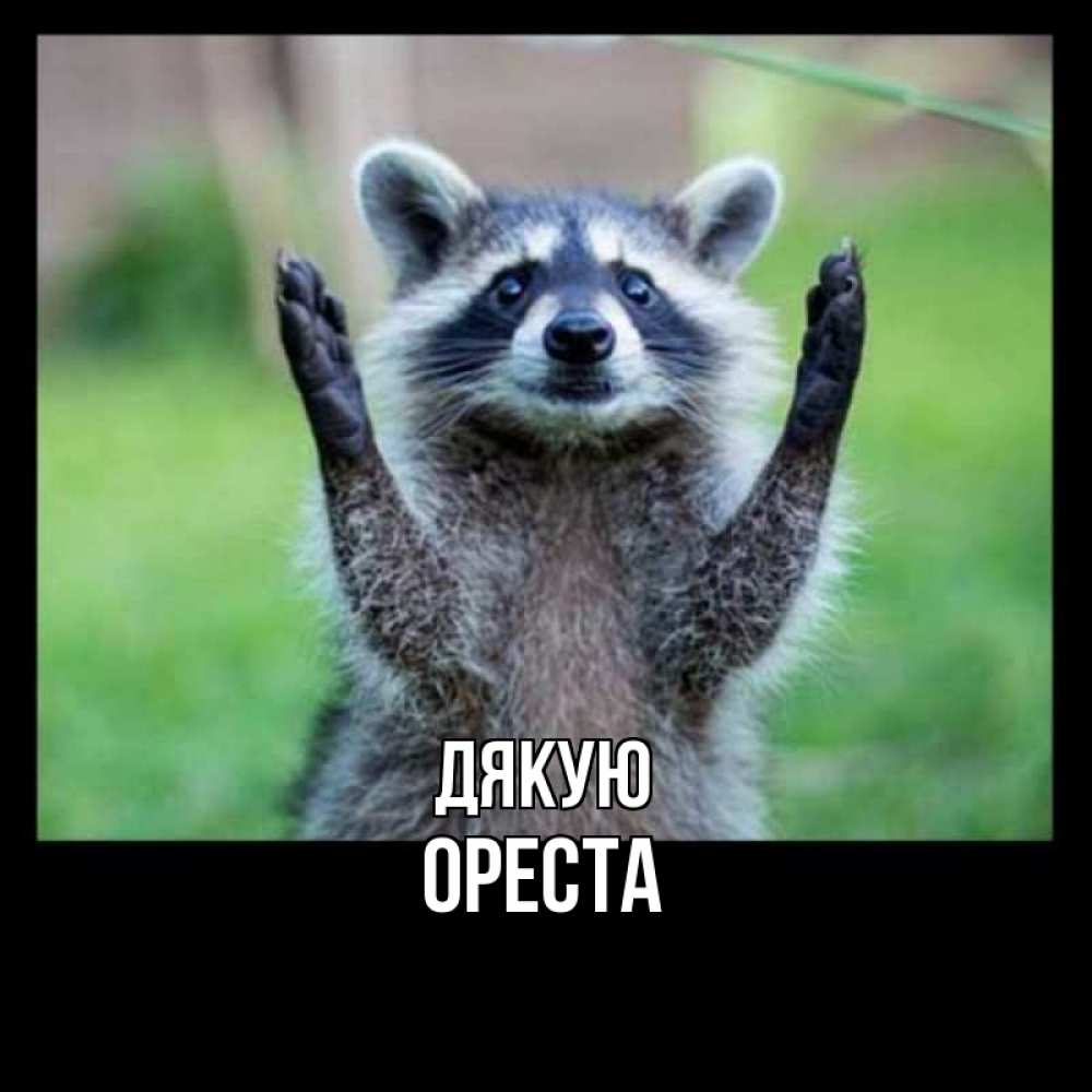 Открытка на каждый день з підписом, Ореста Дякую милые животные Прикольна листівка з побажанням онлайн скачати безкоштовно 