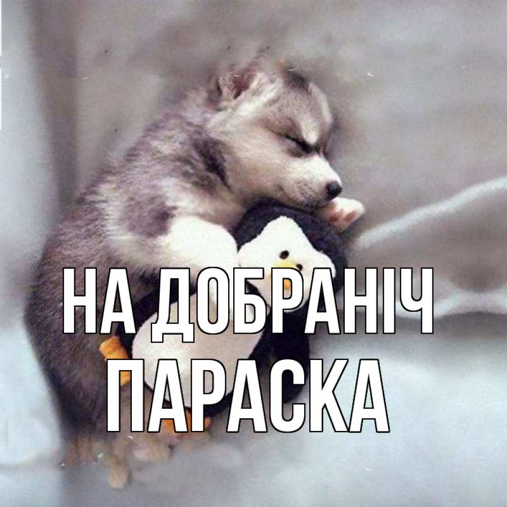 Открытка на каждый день з підписом, Параска На добраніч обнимашки щенка и пингвина Прикольна листівка з побажанням онлайн скачати безкоштовно 