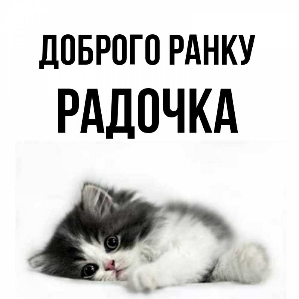 Открытка на каждый день з підписом, Радочка Доброго ранку кот лапки Прикольна листівка з побажанням онлайн скачати безкоштовно 