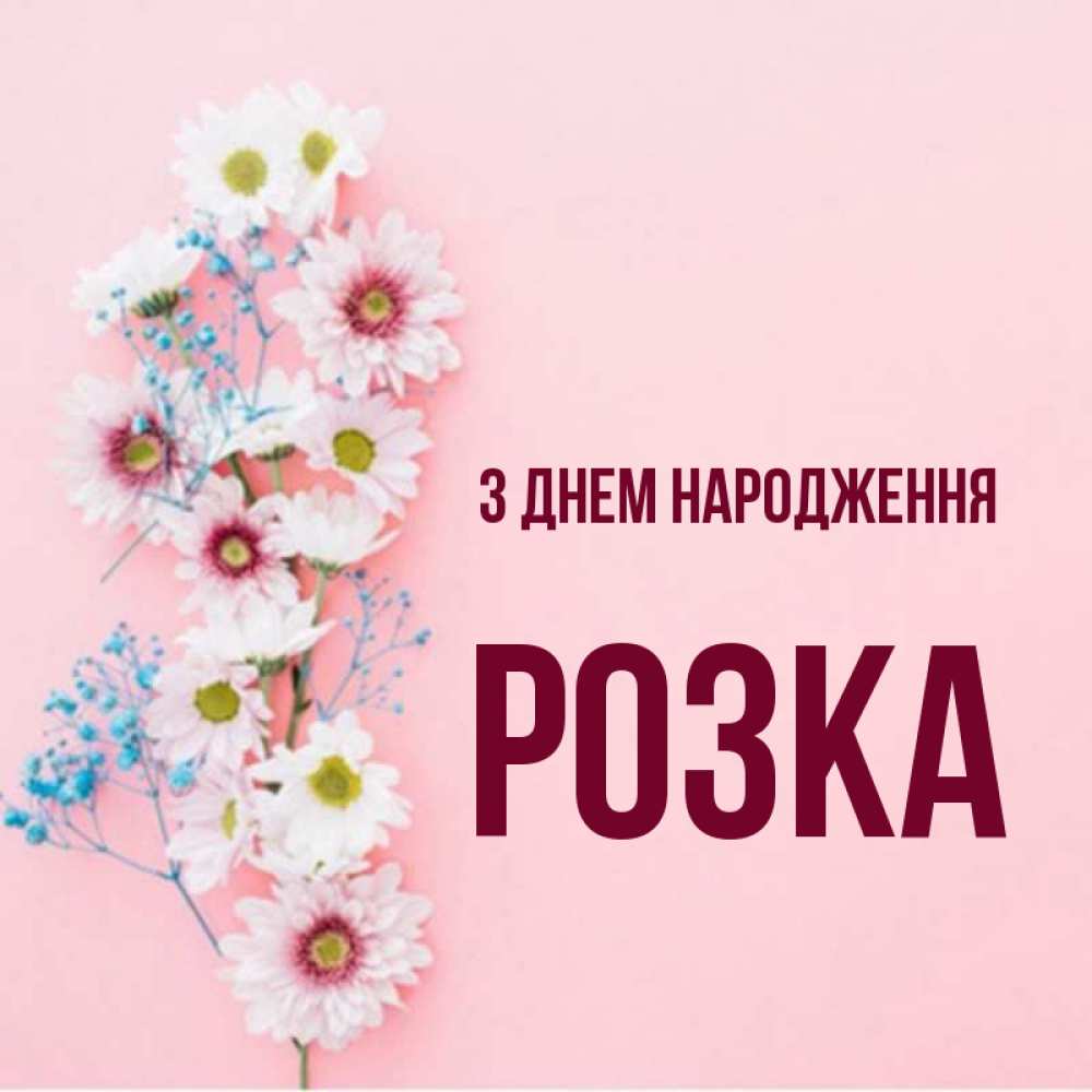 Открытка на каждый день з підписом, Розка З Днем народження Родная моя с днем рождения тебя картинка с цветами белыми и голубыми Прикольна листівка з побажанням онлайн скачати безкоштовно 