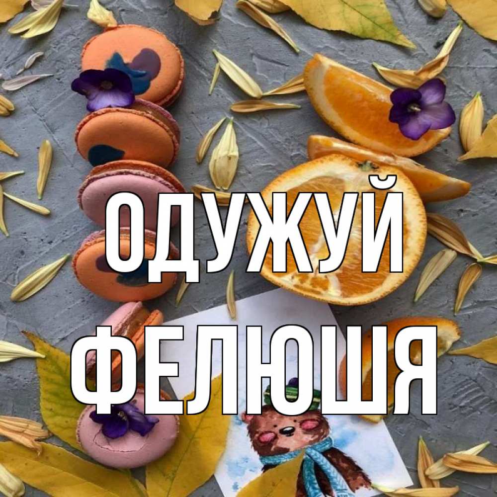 Открытка на каждый день з підписом, Фелюшя Одужуй не болейте Прикольна листівка з побажанням онлайн скачати безкоштовно 