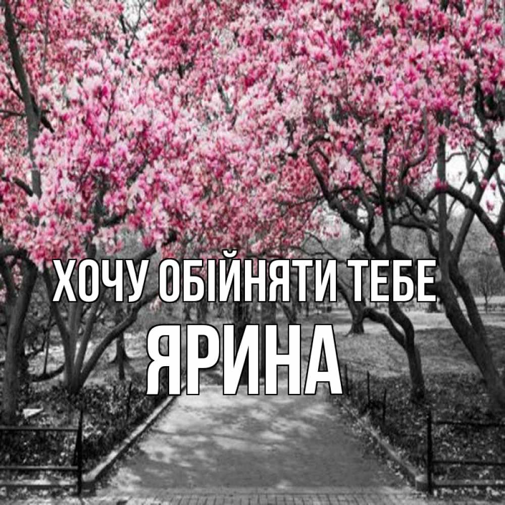 Открытка на каждый день з підписом, Ярина Хочу обійняти тебе обработанное фото Прикольна листівка з побажанням онлайн скачати безкоштовно 