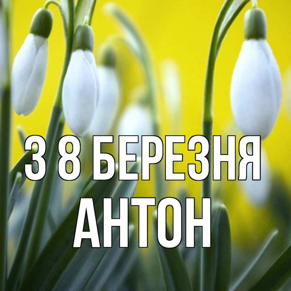 Открытка на каждый день з підписом, Антон З 8 БЕРЕЗНЯ весенние цветы Прикольна листівка з побажанням онлайн скачати безкоштовно 