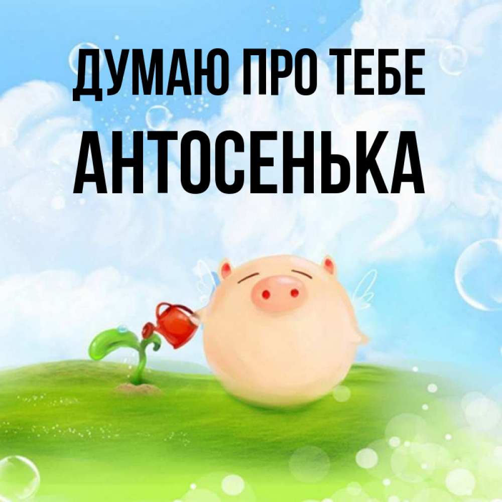 Открытка на каждый день з підписом, Антосенька Думаю про тебе позитивная свинюшка Прикольна листівка з побажанням онлайн скачати безкоштовно 