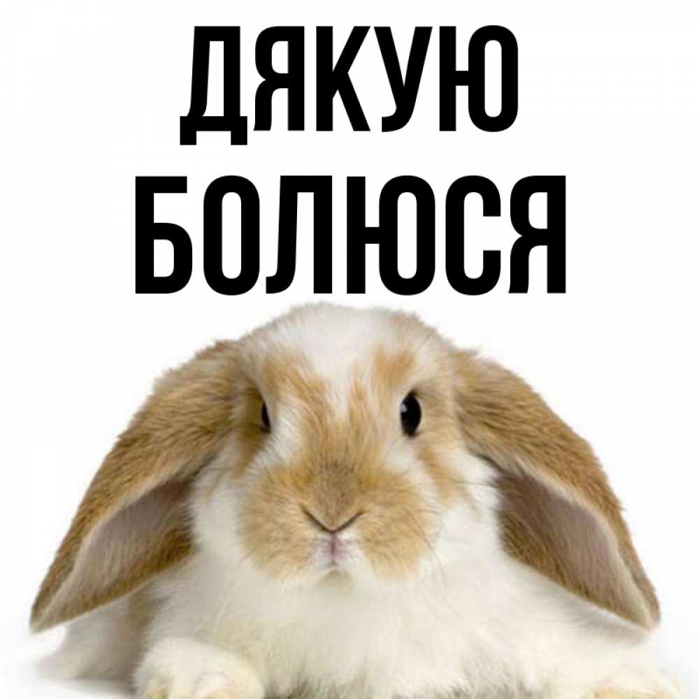 Открытка на каждый день з підписом, Болюся Дякую коричнево белый заяц Прикольна листівка з побажанням онлайн скачати безкоштовно 