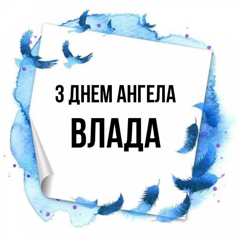 Открытка на каждый день з підписом, Влада З Днем ангела красивые птицы летят Прикольна листівка з побажанням онлайн скачати безкоштовно 