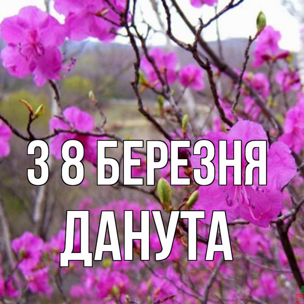 Открытка на каждый день з підписом, Данута З 8 БЕРЕЗНЯ международный женский день Прикольна листівка з побажанням онлайн скачати безкоштовно 