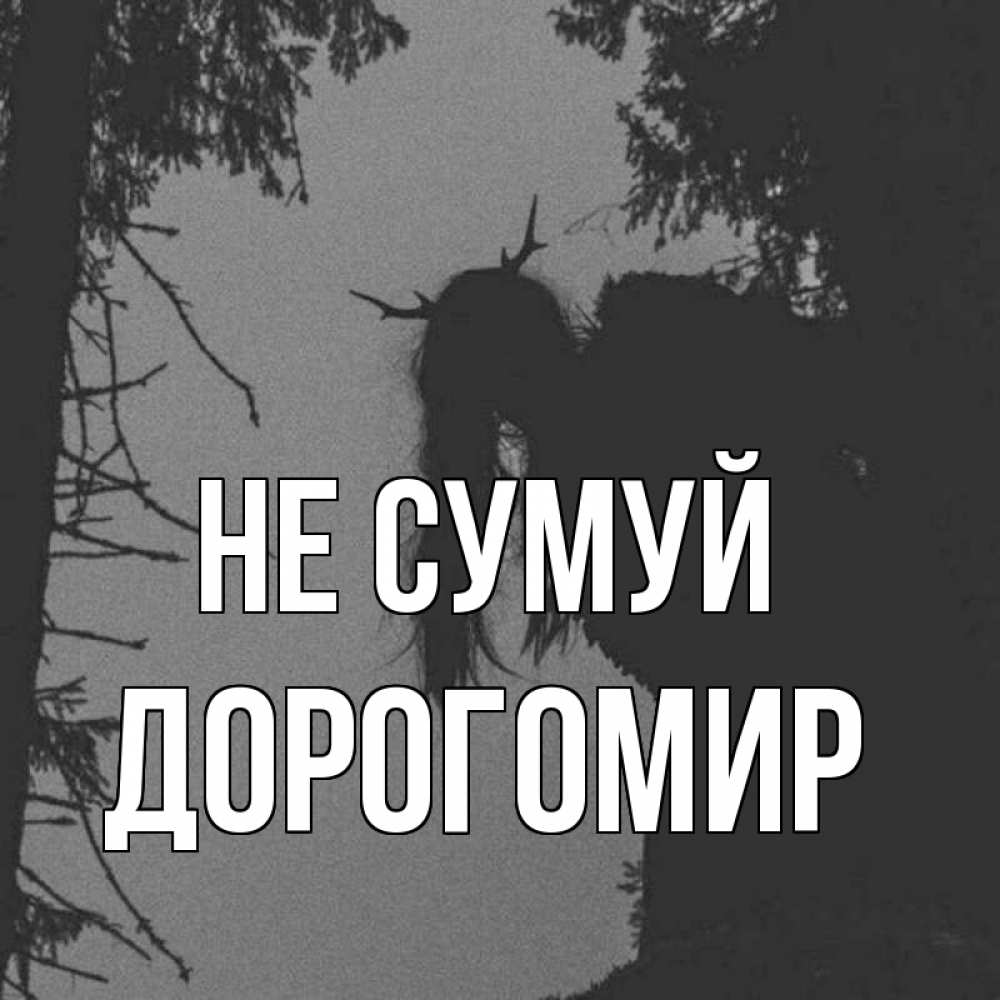 Открытка на каждый день з підписом, Дорогомир Не сумуй чудище лесное Прикольна листівка з побажанням онлайн скачати безкоштовно 