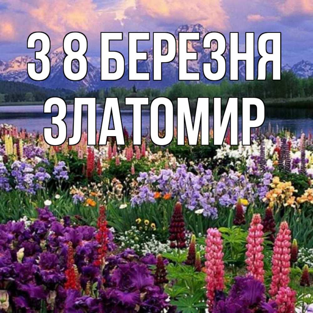 Открытка на каждый день з підписом, Златомир З 8 БЕРЕЗНЯ международный женский день Прикольна листівка з побажанням онлайн скачати безкоштовно 