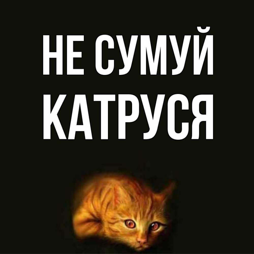 Открытка на каждый день з підписом, Катруся Не сумуй лежащий кот в темноте Прикольна листівка з побажанням онлайн скачати безкоштовно 