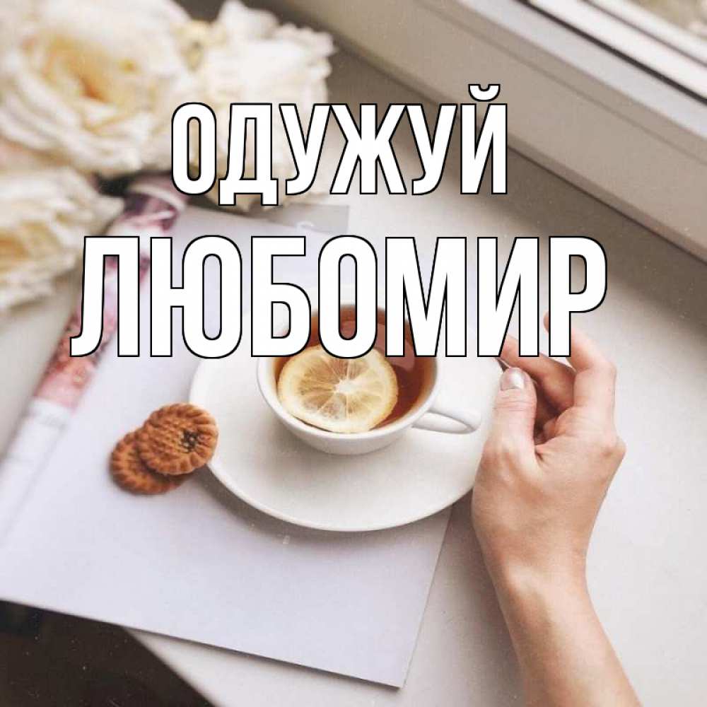 Открытка на каждый день з підписом, Любомир Одужуй и печеньками Прикольна листівка з побажанням онлайн скачати безкоштовно 