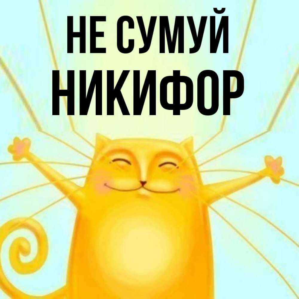 Открытка на каждый день з підписом, Никифор Не сумуй обнимашки усатые Прикольна листівка з побажанням онлайн скачати безкоштовно 