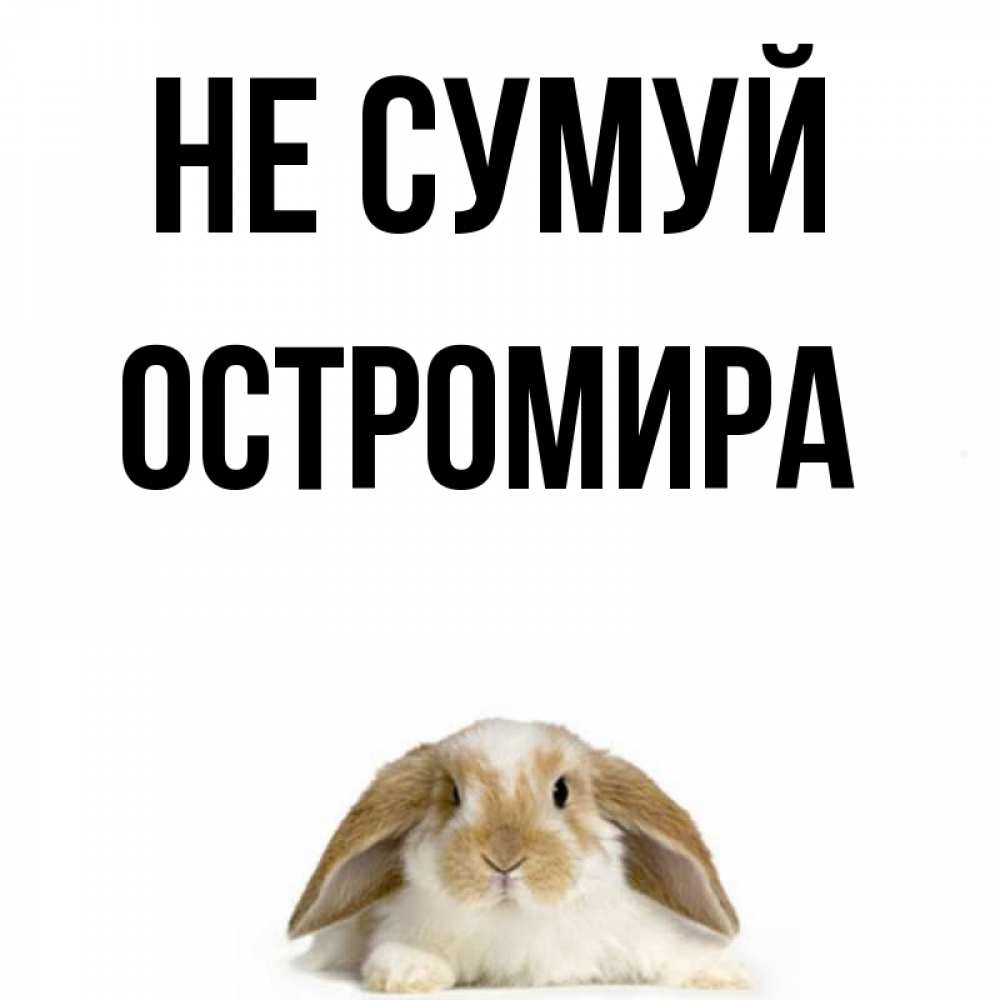 Открытка на каждый день з підписом, Остромира Не сумуй коричнево белый заяц с большими ушками Прикольна листівка з побажанням онлайн скачати безкоштовно 