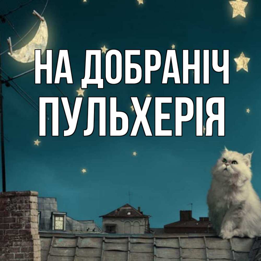 Открытка на каждый день з підписом, Пульхерія На добраніч белый кот сидит на крыше Прикольна листівка з побажанням онлайн скачати безкоштовно 