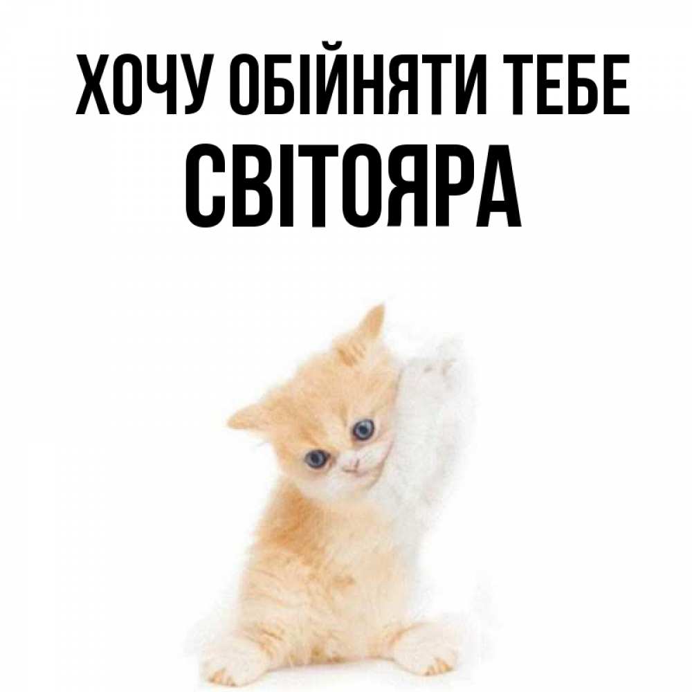 Открытка на каждый день з підписом, Світояра Хочу обійняти тебе я хочу очень скорее обнимаешек Прикольна листівка з побажанням онлайн скачати безкоштовно 