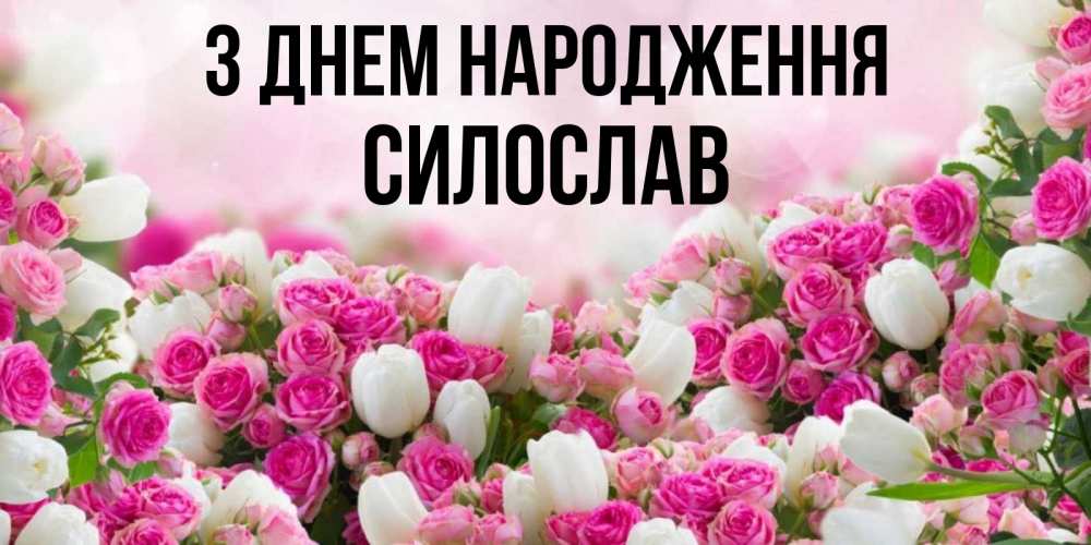 Открытка на каждый день з підписом, Силослав З Днем народження открытка с разными розами Прикольна листівка з побажанням онлайн скачати безкоштовно 