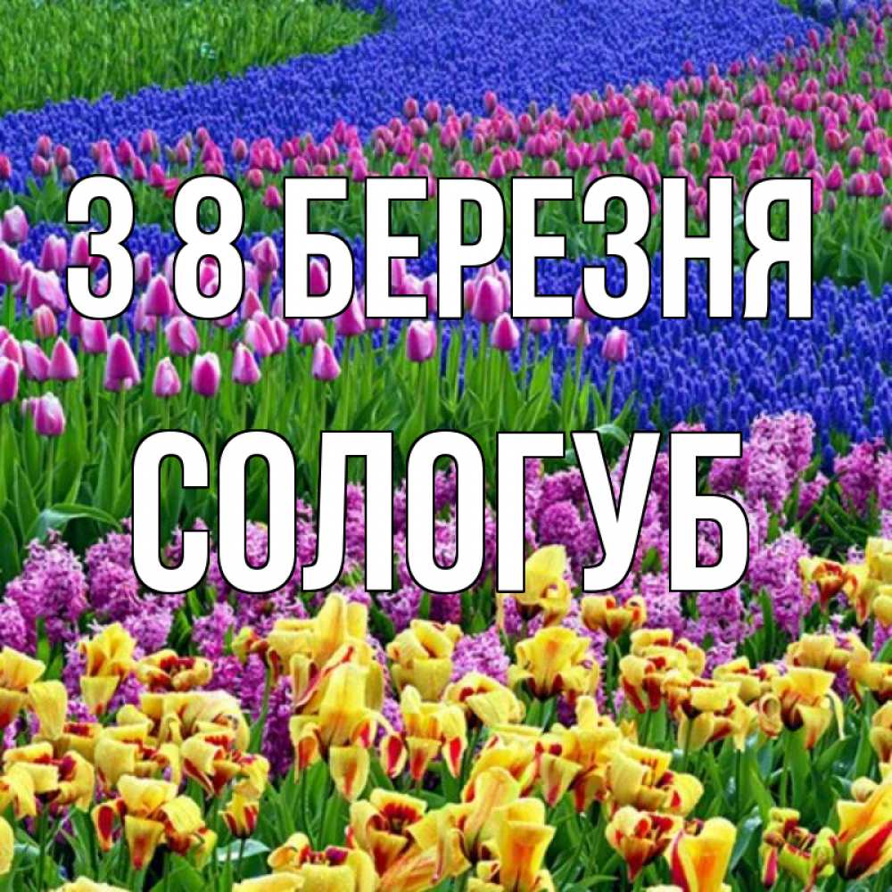 Открытка на каждый день з підписом, Сологуб З 8 БЕРЕЗНЯ цветы Прикольна листівка з побажанням онлайн скачати безкоштовно 