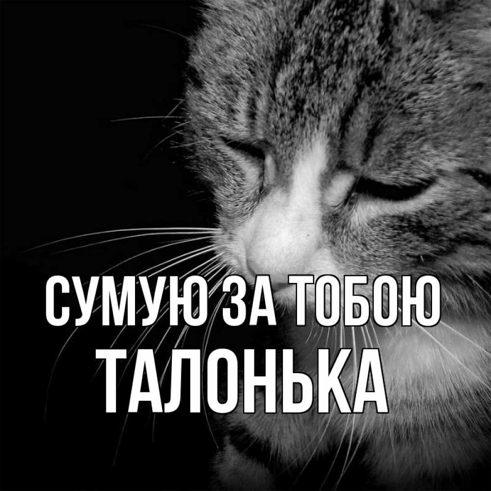 Открытка на каждый день з підписом, Талонька Сумую за тобою мне скучно Прикольна листівка з побажанням онлайн скачати безкоштовно 