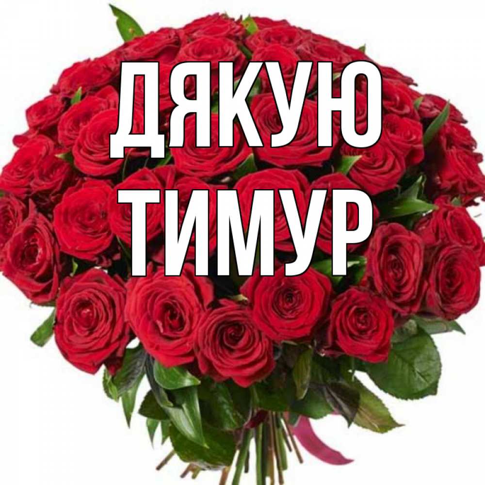 Открытка на каждый день з підписом, Тимур Дякую букет красных роз Прикольна листівка з побажанням онлайн скачати безкоштовно 