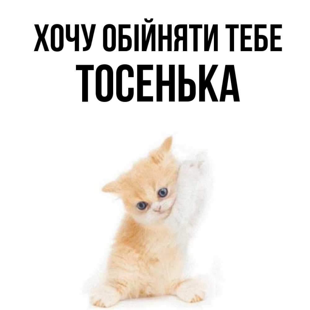 Открытка на каждый день з підписом, Тосенька Хочу обійняти тебе я хочу очень скорее обнимаешек Прикольна листівка з побажанням онлайн скачати безкоштовно 