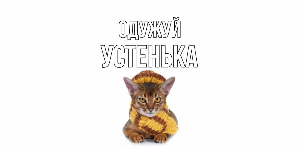 Открытка на каждый день з підписом, Устенька Одужуй родные не болейте Прикольна листівка з побажанням онлайн скачати безкоштовно 