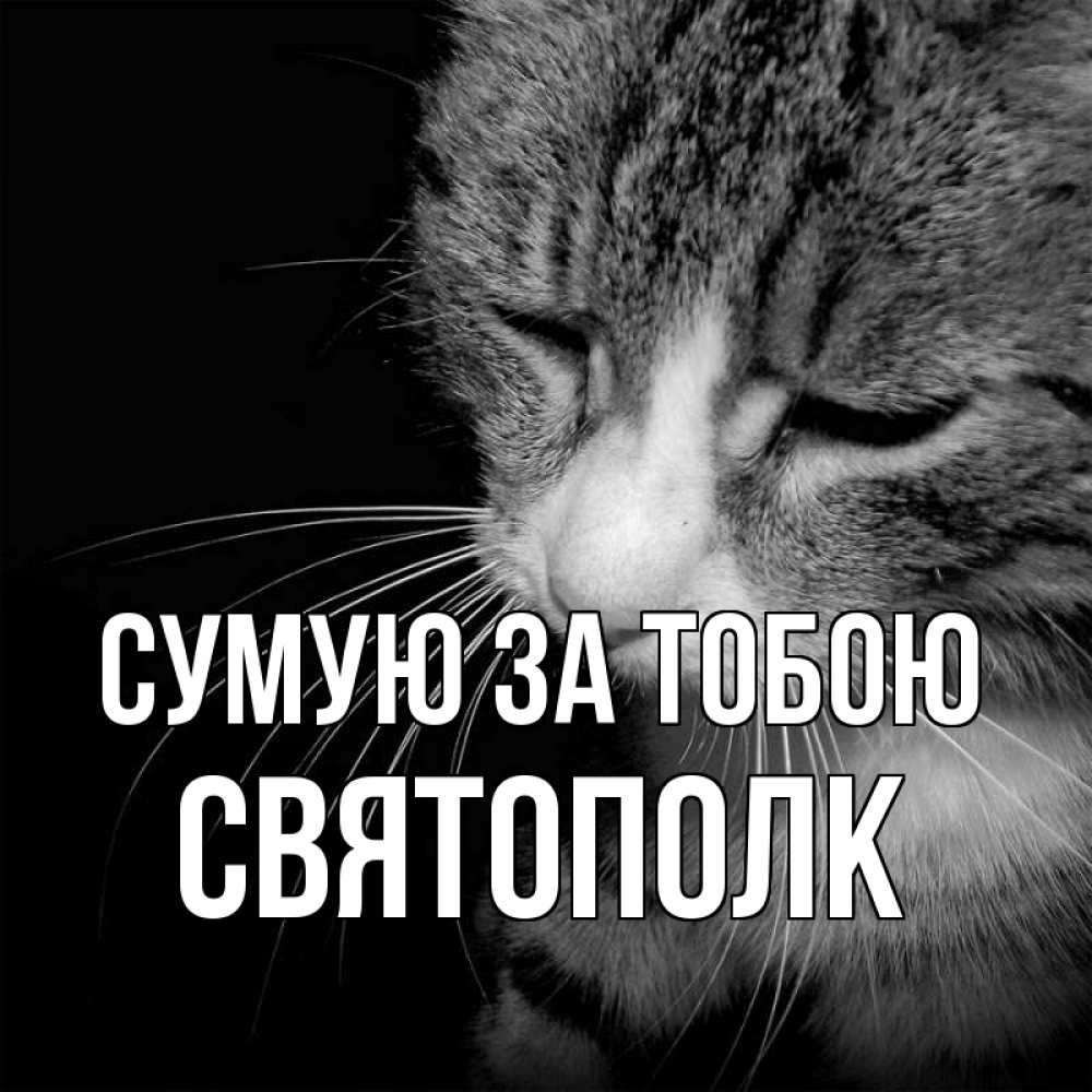 Открытка на каждый день з підписом, Святополк Сумую за тобою мне скучно Прикольна листівка з побажанням онлайн скачати безкоштовно 