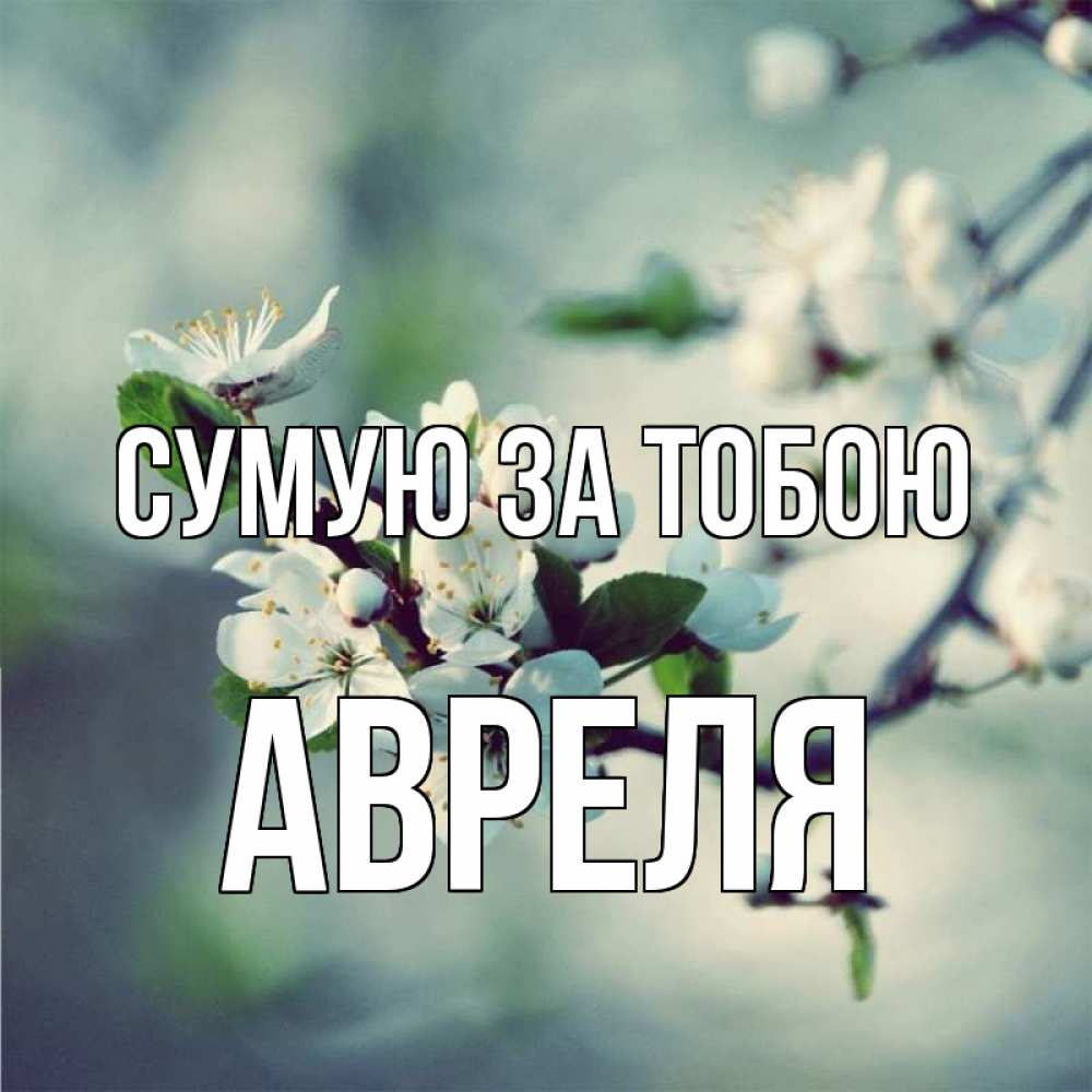 Открытка на каждый день з підписом, Авреля Сумую за тобою весна Прикольна листівка з побажанням онлайн скачати безкоштовно 