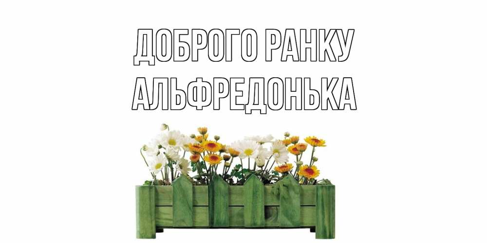 Открытка на каждый день з підписом, Альфредонька Доброго ранку цветы Прикольна листівка з побажанням онлайн скачати безкоштовно 