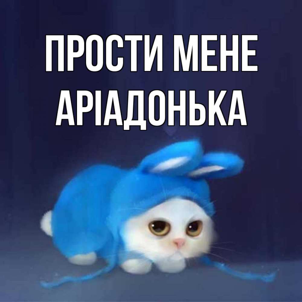 Открытка на каждый день з підписом, Аріадонька Прости мене невинный котозай просит прощения Прикольна листівка з побажанням онлайн скачати безкоштовно 