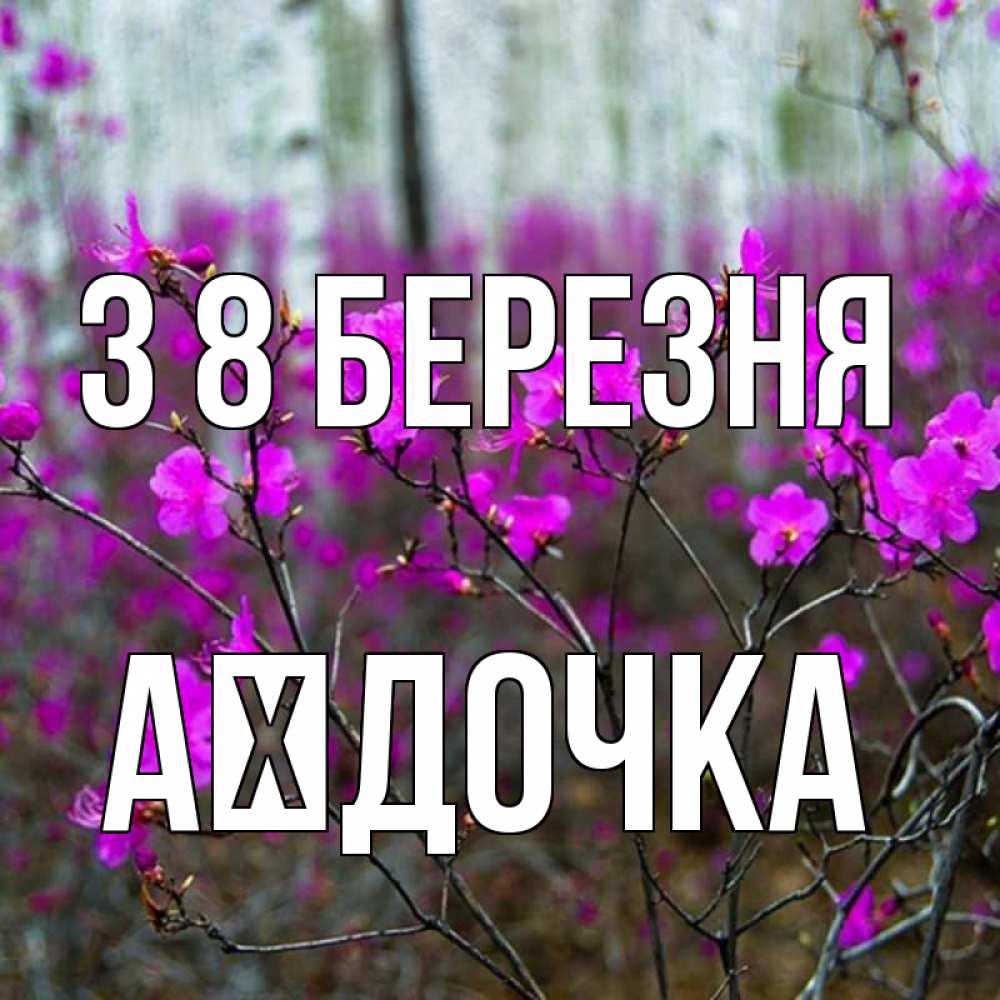 Открытка на каждый день з підписом, Аїдочка З 8 БЕРЕЗНЯ дикие цветы Прикольна листівка з побажанням онлайн скачати безкоштовно 