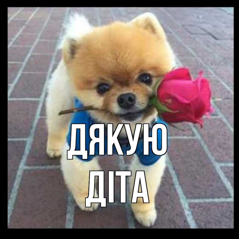 Открытка на каждый день з підписом, Діта Дякую спасибо и дарю тебе цветок Прикольна листівка з побажанням онлайн скачати безкоштовно 