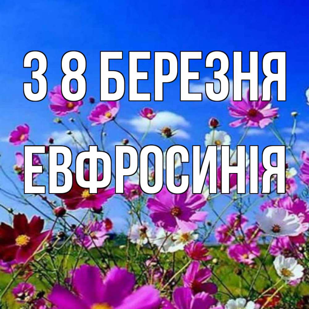 Открытка на каждый день з підписом, Евфросинія З 8 БЕРЕЗНЯ цветы Прикольна листівка з побажанням онлайн скачати безкоштовно 