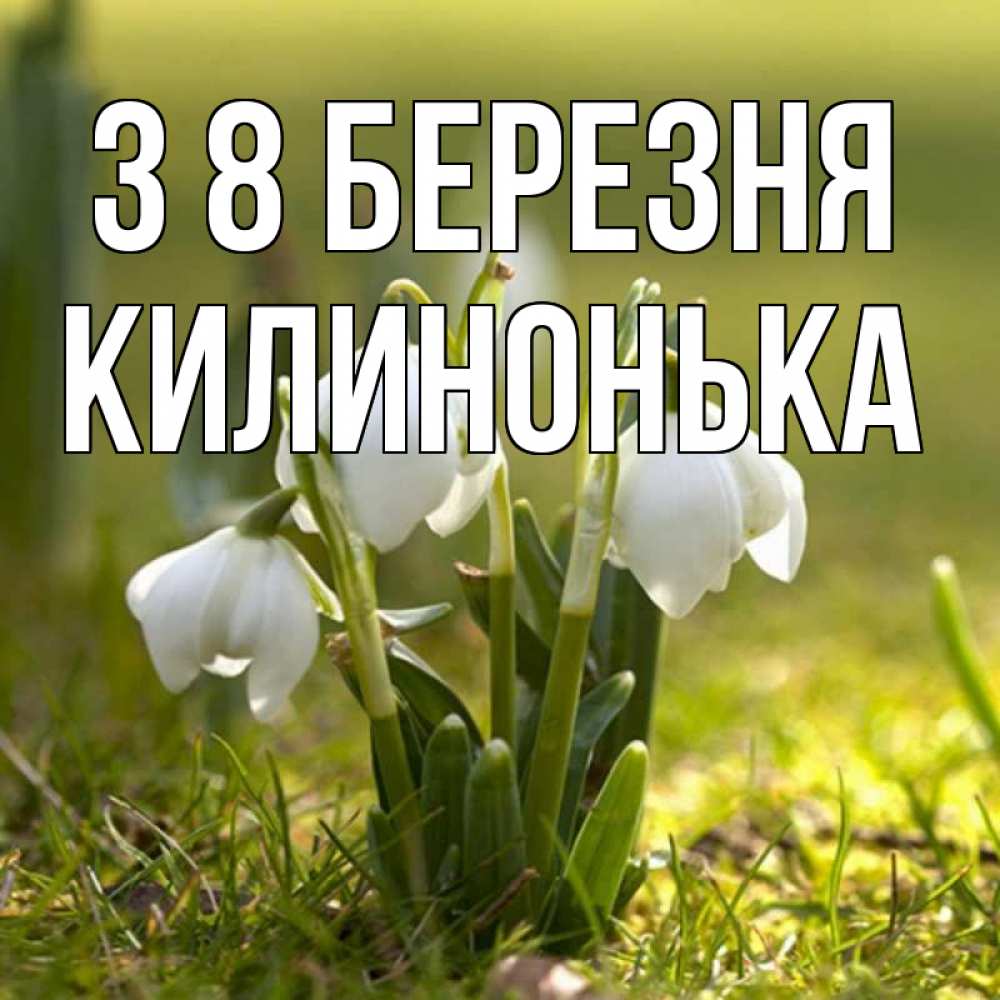 Открытка на каждый день з підписом, Килинонька З 8 БЕРЕЗНЯ ранние цветы 2 Прикольна листівка з побажанням онлайн скачати безкоштовно 