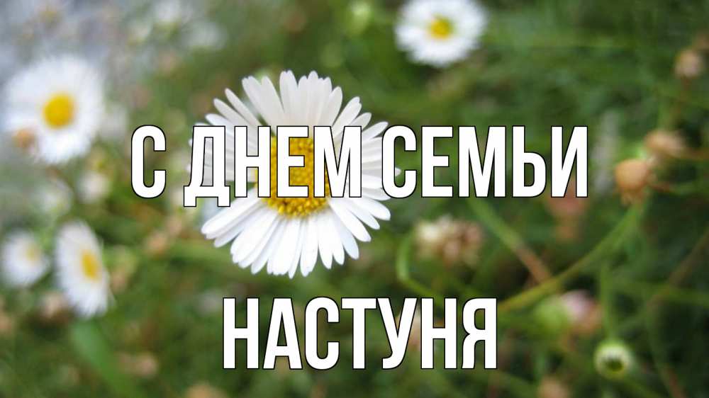 Открытка на каждый день з підписом, Настуня С днем семьи с днем семьи Прикольна листівка з побажанням онлайн скачати безкоштовно 