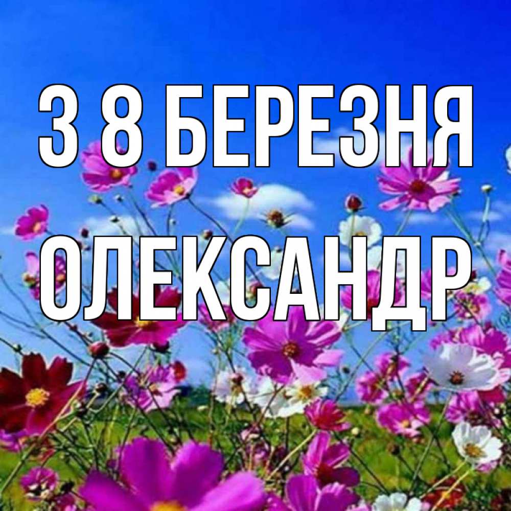 Открытка на каждый день з підписом, Олександр З 8 БЕРЕЗНЯ цветы Прикольна листівка з побажанням онлайн скачати безкоштовно 