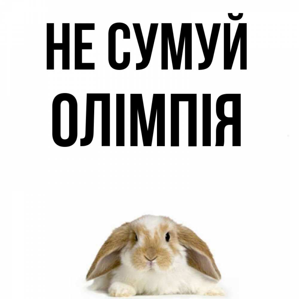 Открытка на каждый день з підписом, Олімпія Не сумуй коричнево белый заяц с большими ушками Прикольна листівка з побажанням онлайн скачати безкоштовно 