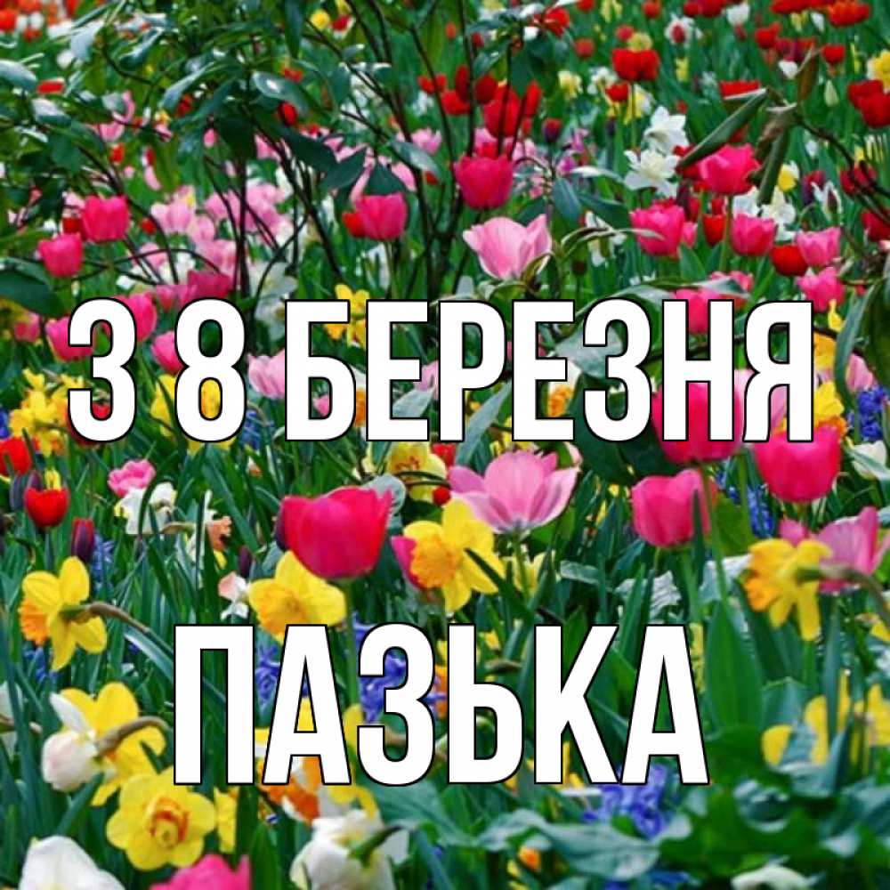 Открытка на каждый день з підписом, Пазька З 8 БЕРЕЗНЯ с международным женским днем поздравления для женщины Прикольна листівка з побажанням онлайн скачати безкоштовно 