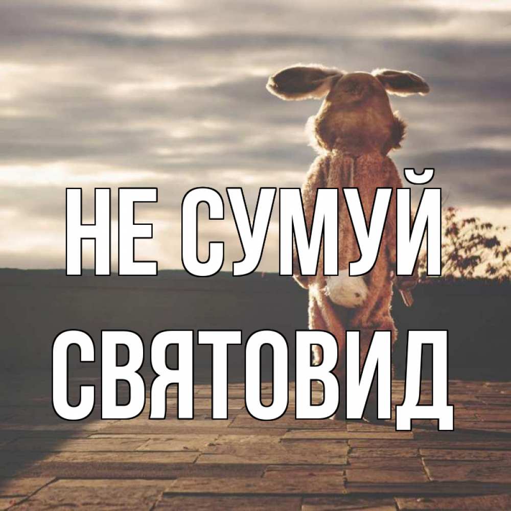Открытка на каждый день з підписом, Святовид Не сумуй со спины Прикольна листівка з побажанням онлайн скачати безкоштовно 