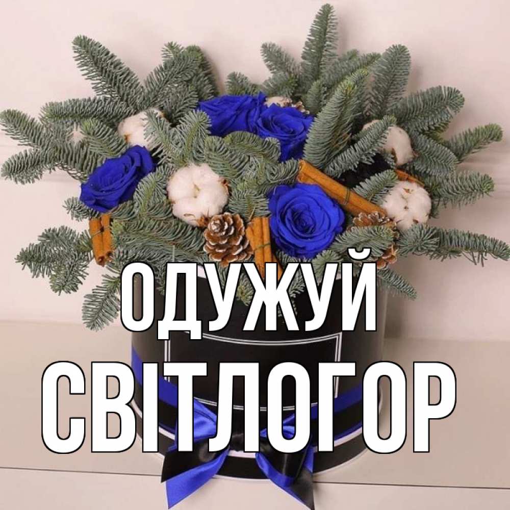 Открытка на каждый день з підписом, Світлогор Одужуй короче кто то загрузил эти шишки Прикольна листівка з побажанням онлайн скачати безкоштовно 