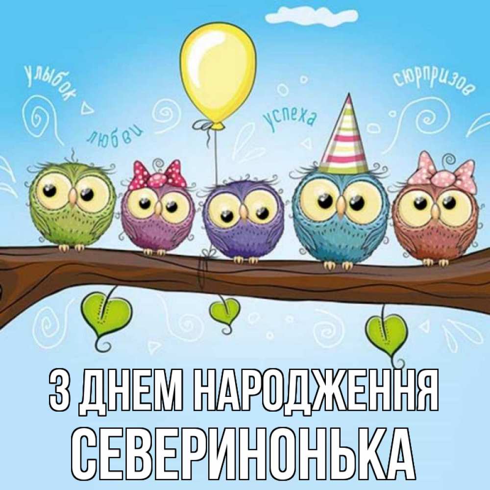 Открытка на каждый день з підписом, Северинонька З Днем народження совы Прикольна листівка з побажанням онлайн скачати безкоштовно 