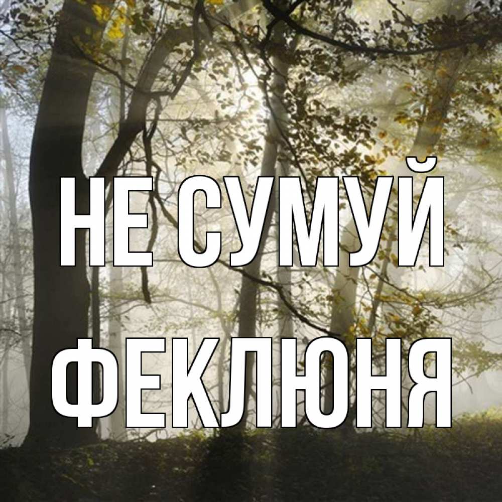 Открытка на каждый день з підписом, Феклюня Не сумуй лес и свет Прикольна листівка з побажанням онлайн скачати безкоштовно 