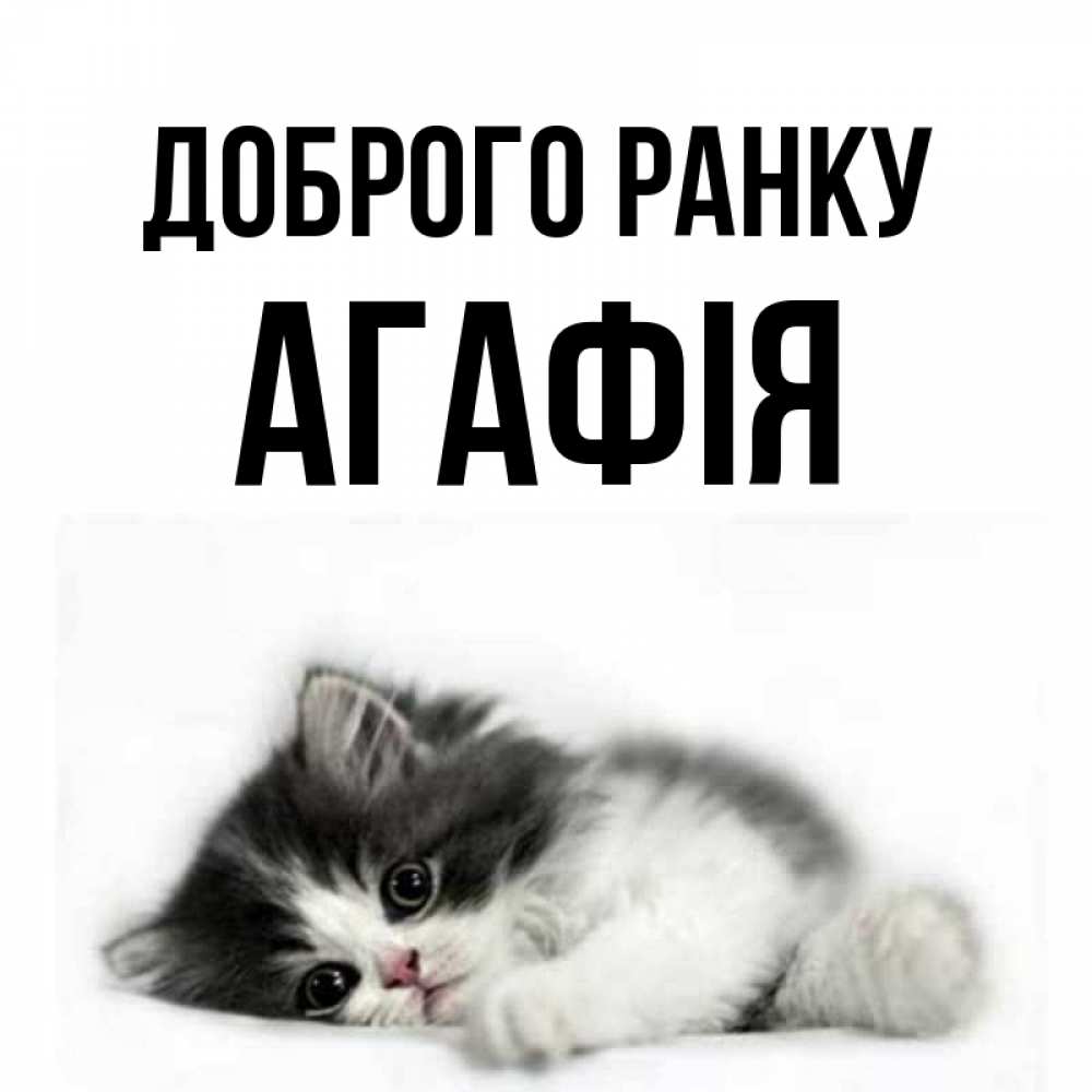 Открытка на каждый день з підписом, Агафія Доброго ранку кот лапки Прикольна листівка з побажанням онлайн скачати безкоштовно 