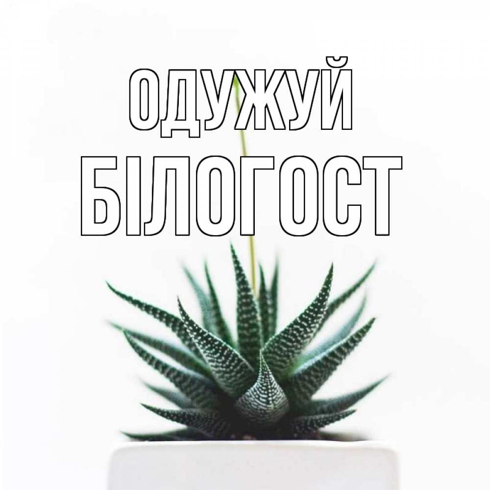 Открытка на каждый день з підписом, Білогост Одужуй короче это непонятная колючка Прикольна листівка з побажанням онлайн скачати безкоштовно 