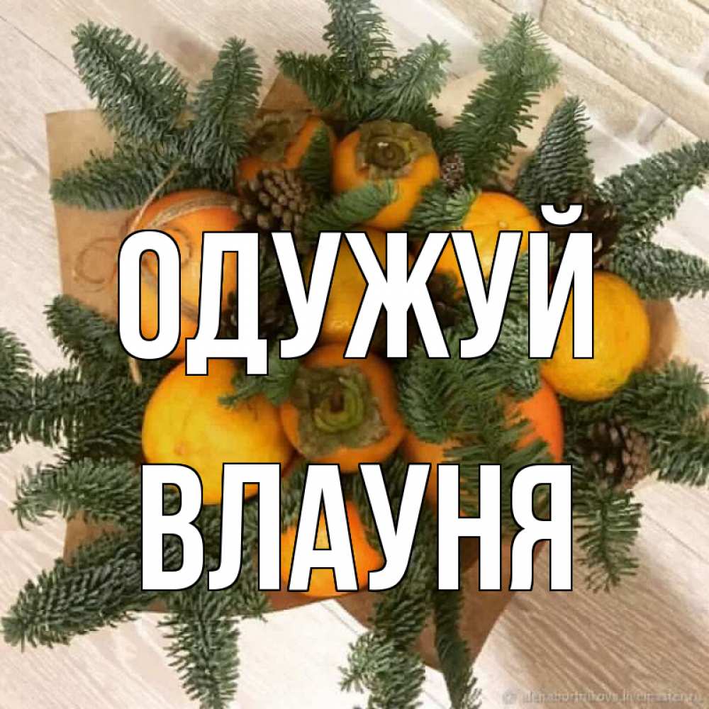 Открытка на каждый день з підписом, Влауня Одужуй апельсины и хурьма Прикольна листівка з побажанням онлайн скачати безкоштовно 