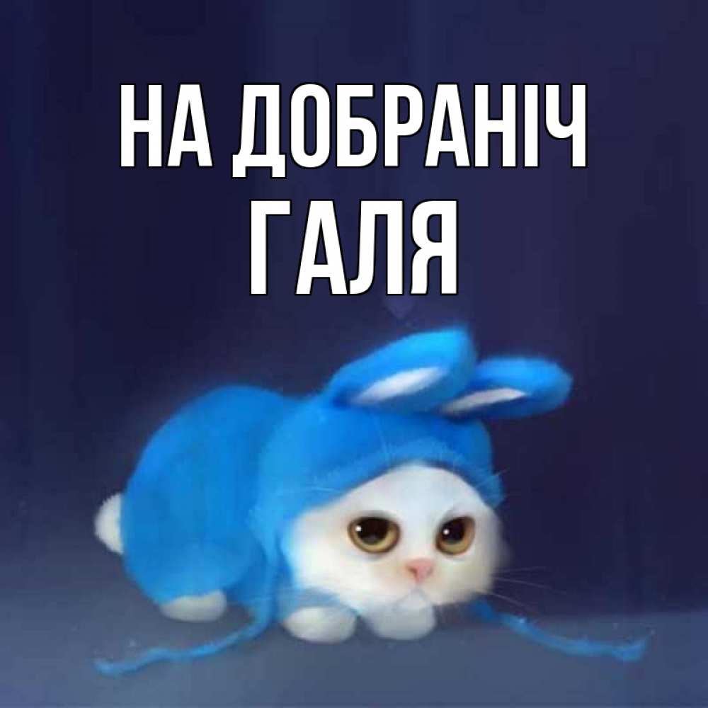 Открытка на каждый день з підписом, Галя На добраніч кот в голубом костюме кролика с ушками Прикольна листівка з побажанням онлайн скачати безкоштовно 